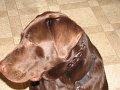 2010-04_21 Hemi_0033